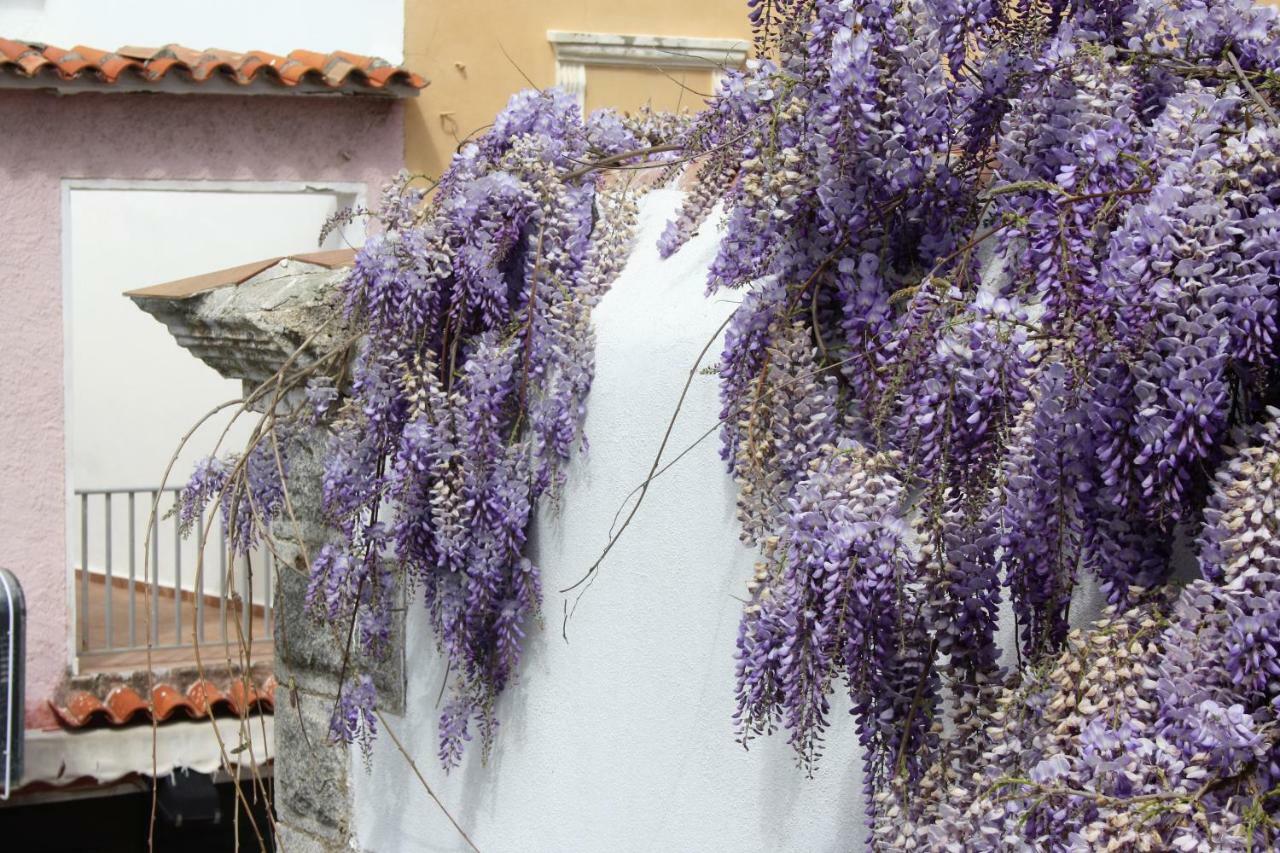 Casa Gandamar B&B Santa Teresa Gallura Exteriér fotografie