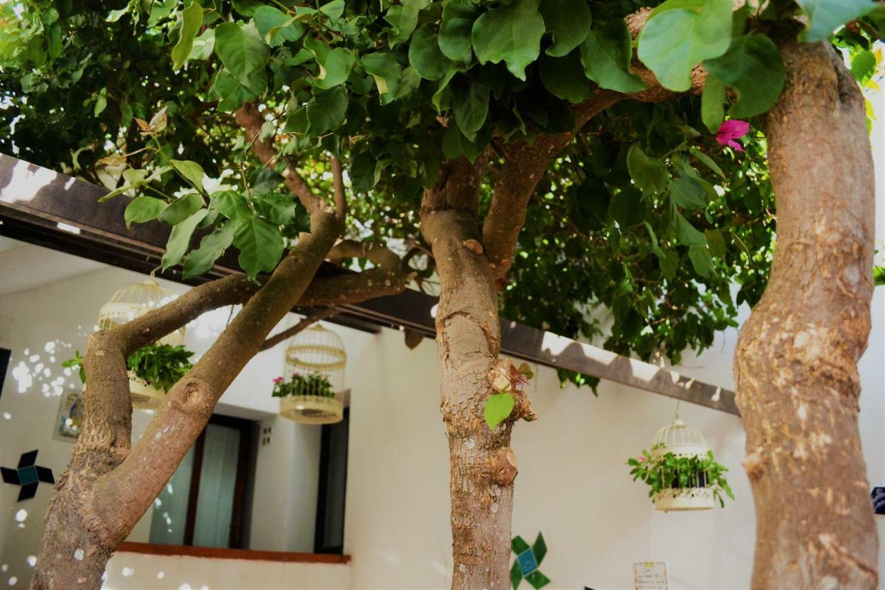 Casa Gandamar B&B Santa Teresa Gallura Exteriér fotografie
