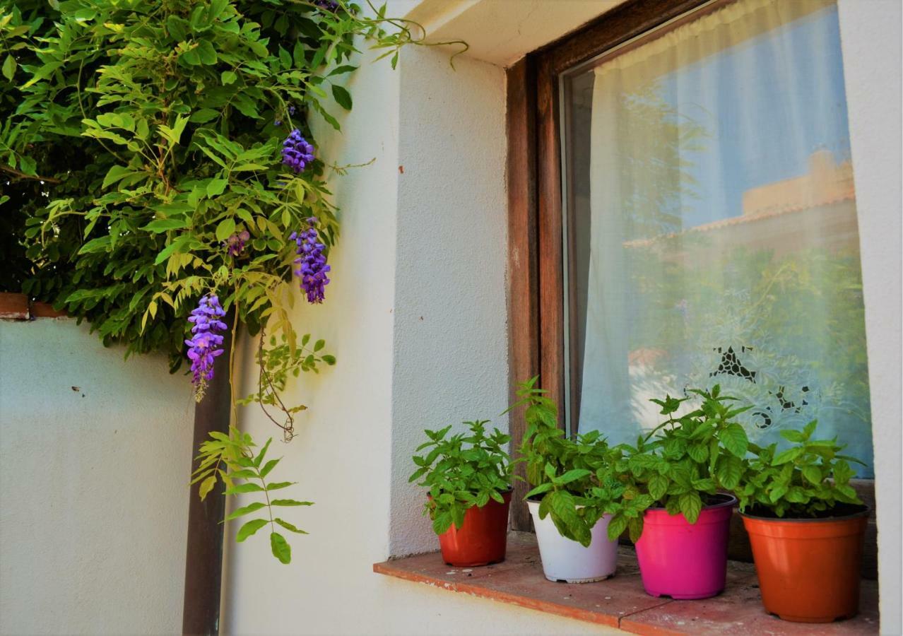 Casa Gandamar B&B Santa Teresa Gallura Exteriér fotografie