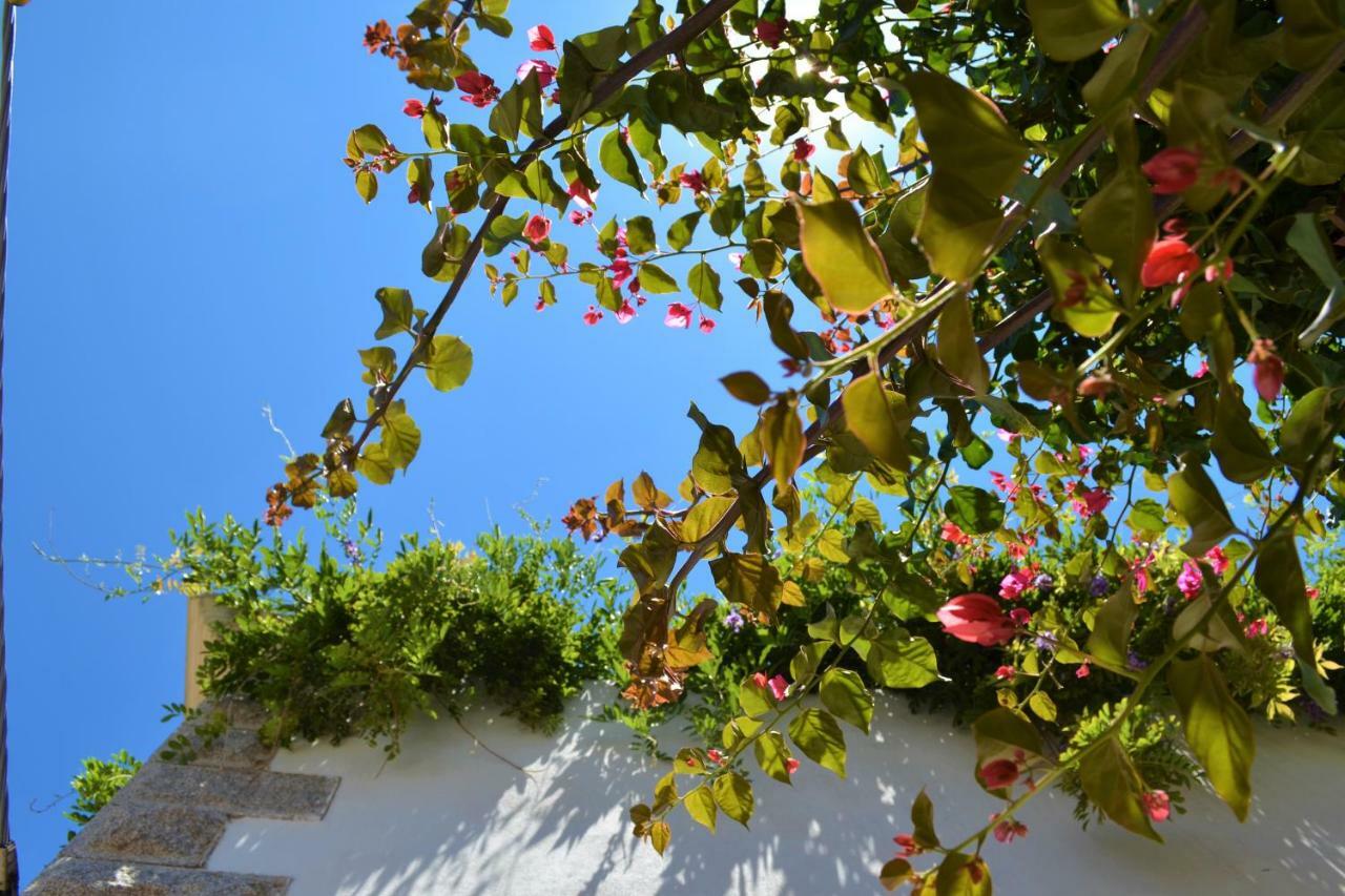 Casa Gandamar B&B Santa Teresa Gallura Exteriér fotografie