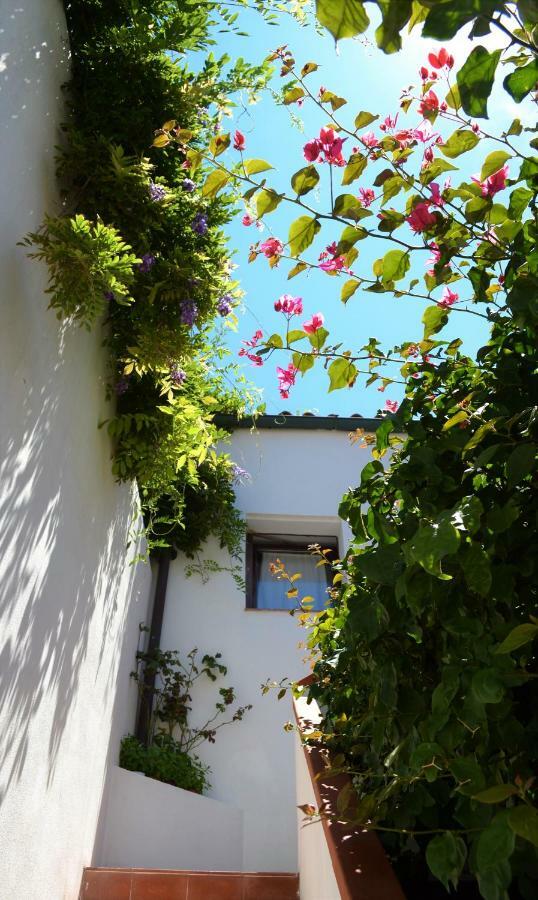 Casa Gandamar B&B Santa Teresa Gallura Exteriér fotografie