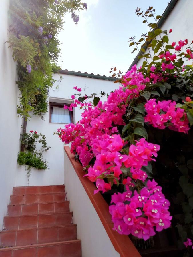 Casa Gandamar B&B Santa Teresa Gallura Exteriér fotografie